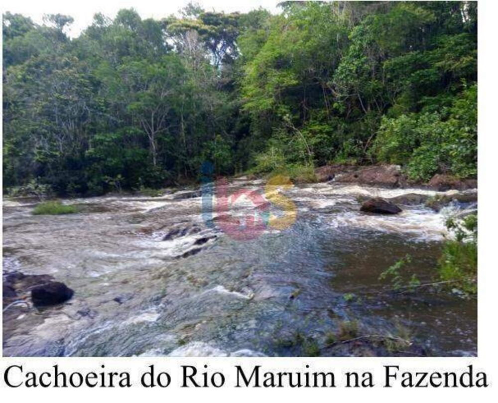 Fazenda - Foto 1