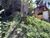 Terreno, 200 m² - Foto 6