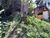Terreno, 200 m² - Foto 4