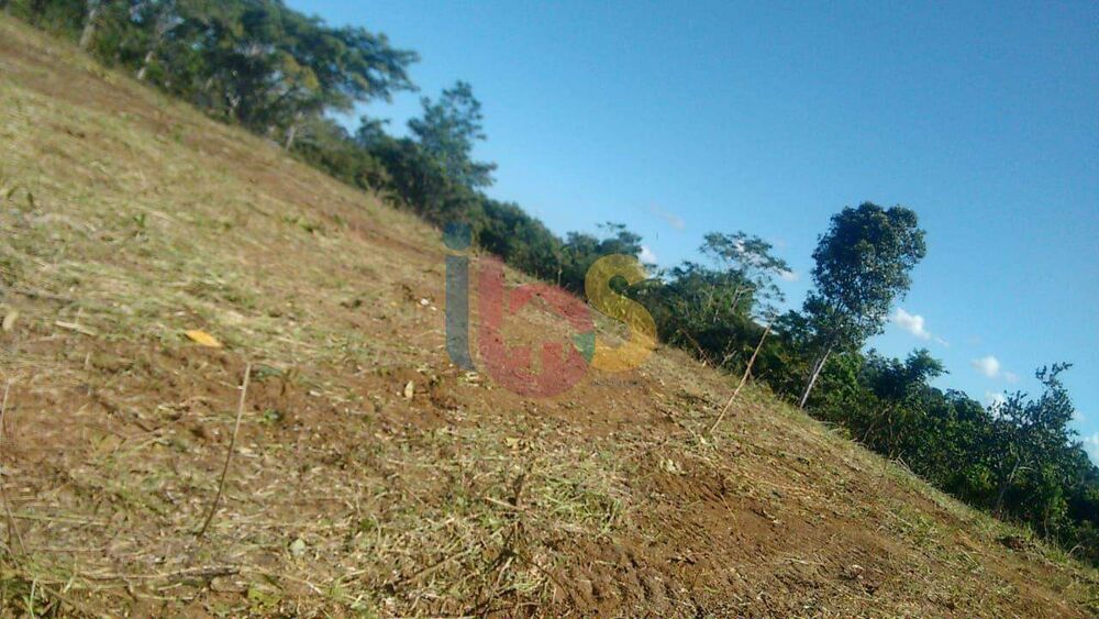 Fazenda à venda, 400000m² - Foto 8