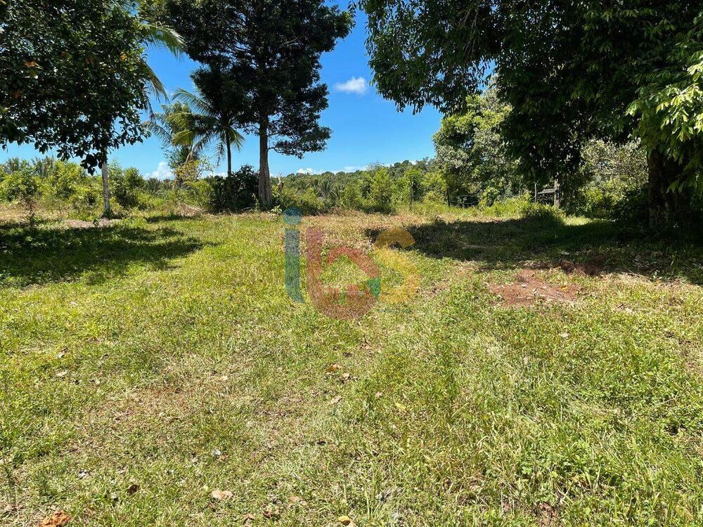 Fazenda à venda, 400000m² - Foto 10