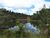 Fazenda, 40 hectares - Foto 1