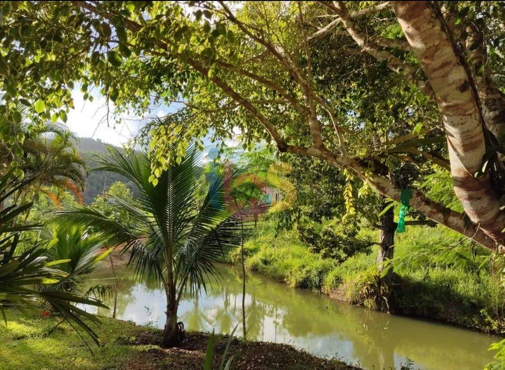 Fazenda - Foto 6