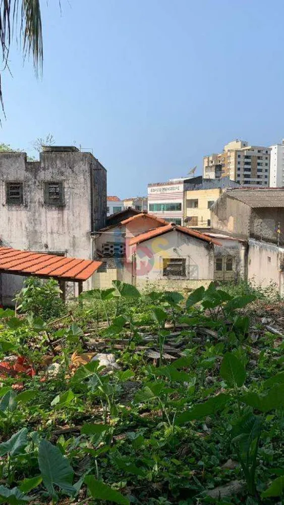 Casa, 5 quartos, 300 m² - Foto 4
