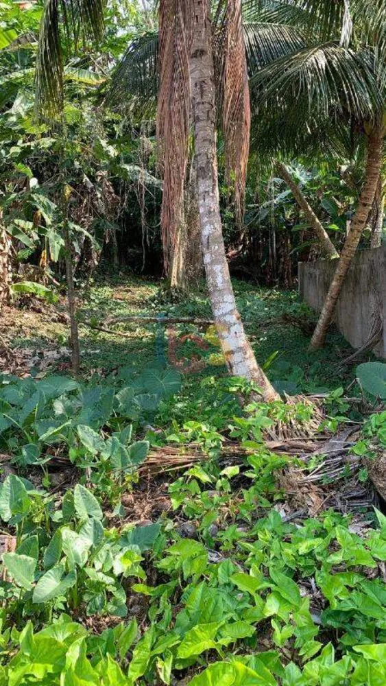 Casa, 5 quartos, 300 m² - Foto 8