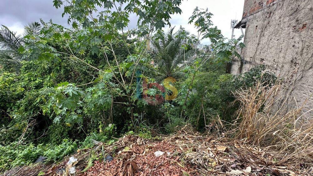 Terreno, 226 m² - Foto 2