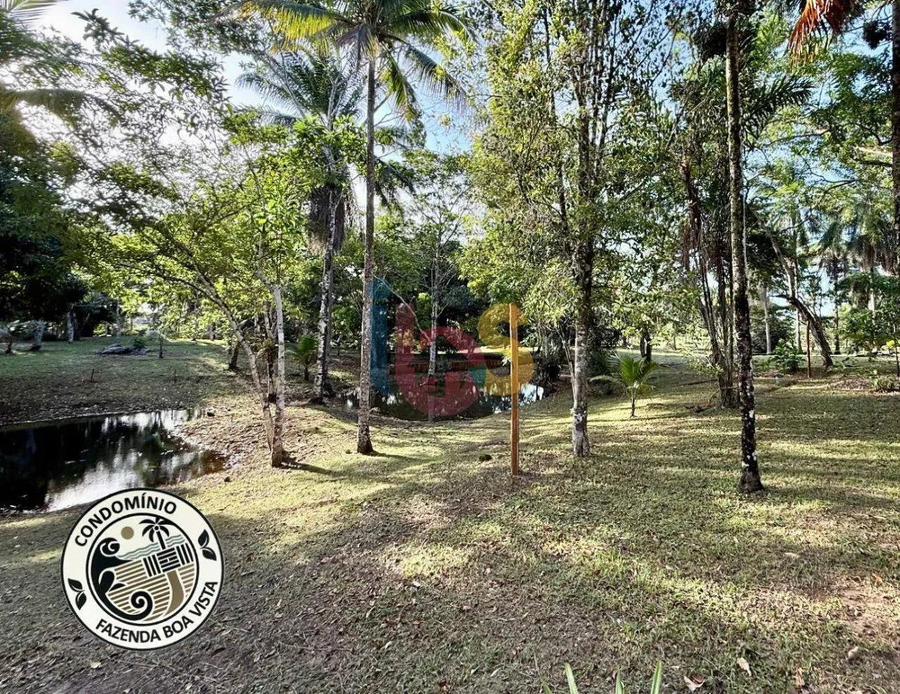 Terreno, 1077 m² - Foto 7