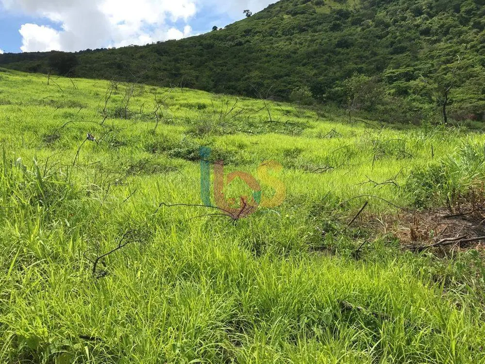 Fazenda - Foto 8