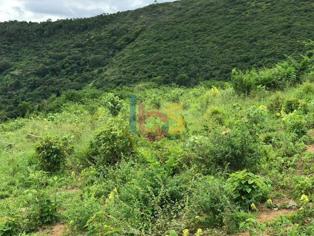 Fazenda - Foto 1
