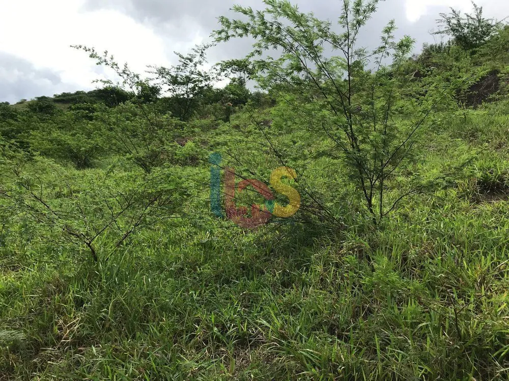 Fazenda - Foto 4
