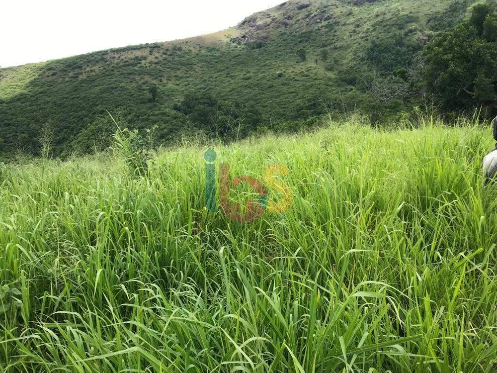 Fazenda - Foto 10