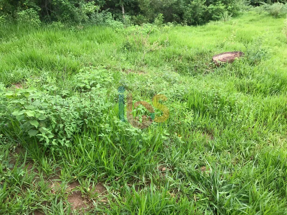Fazenda - Foto 7