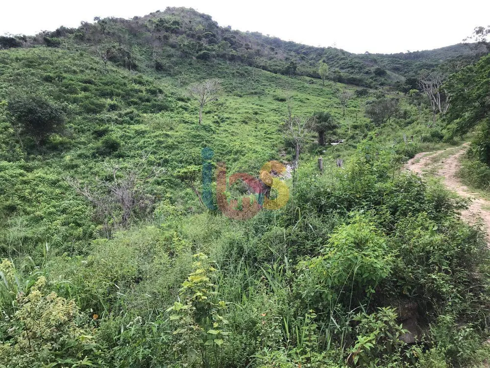 Fazenda - Foto 2