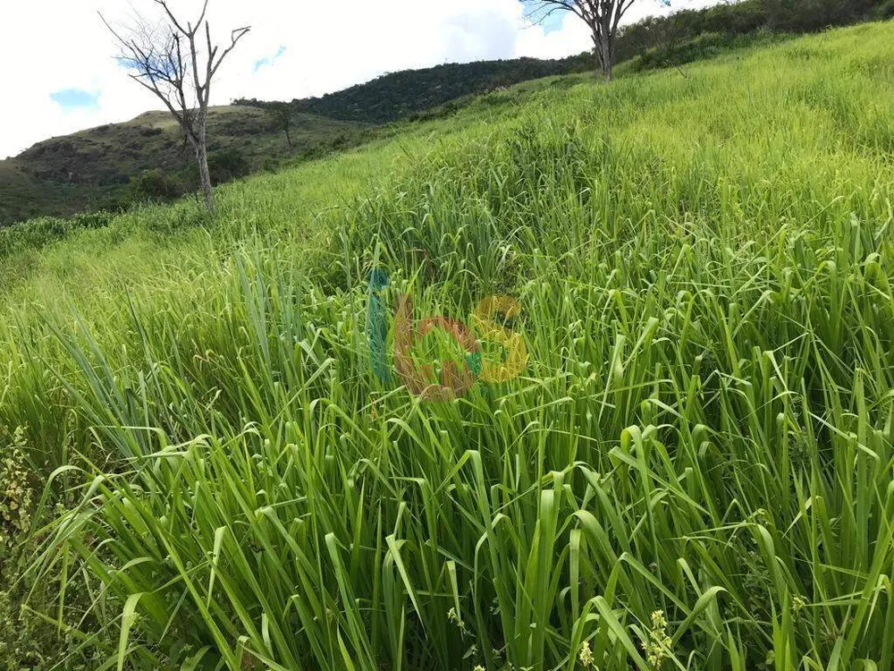 Fazenda - Foto 12