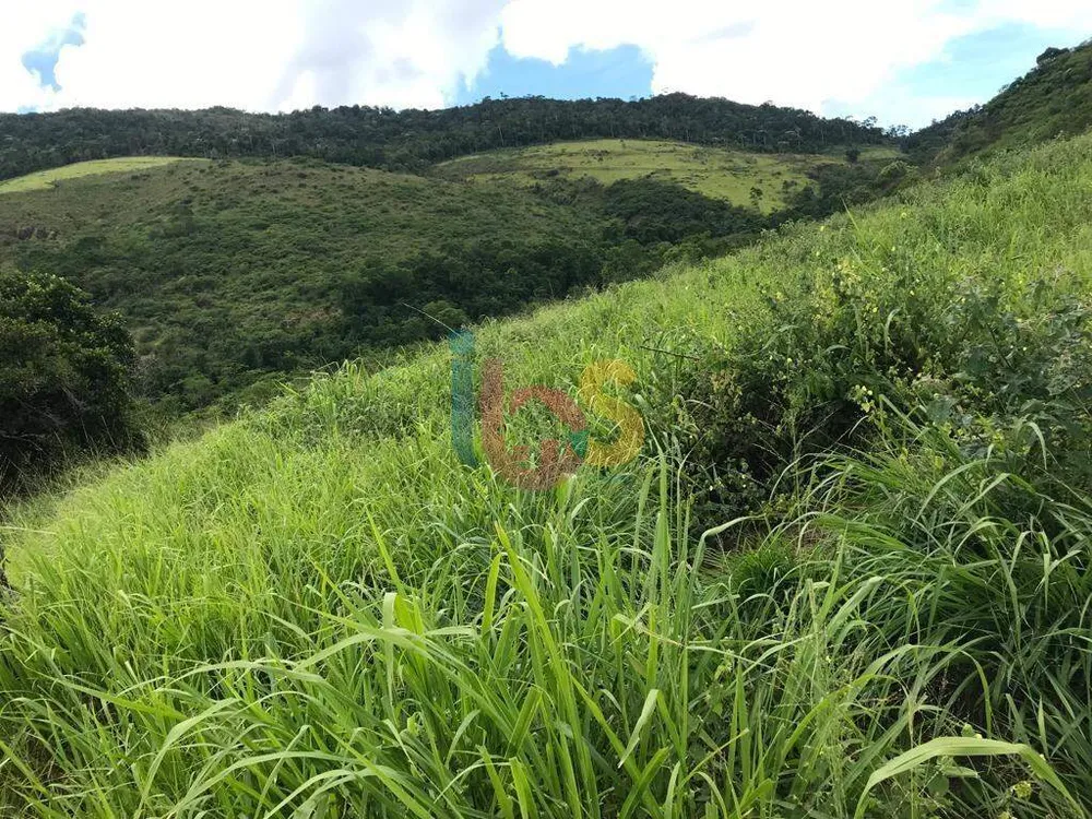 Fazenda - Foto 11