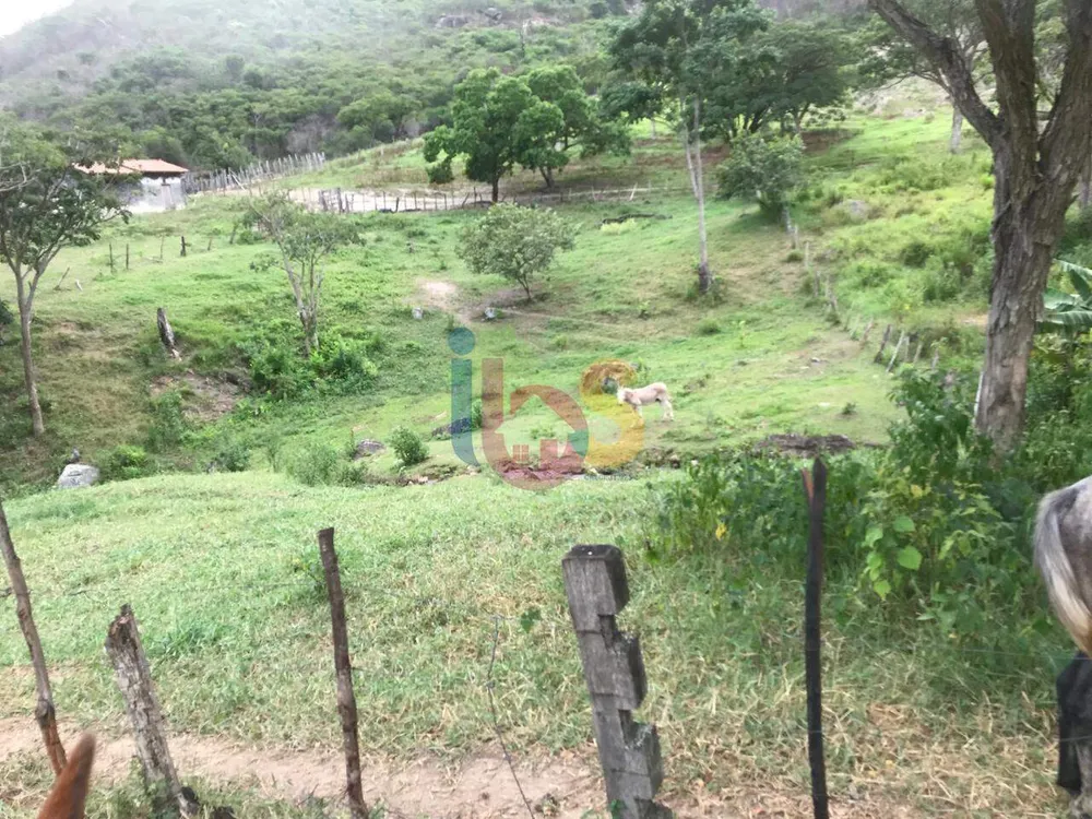 Fazenda - Foto 6