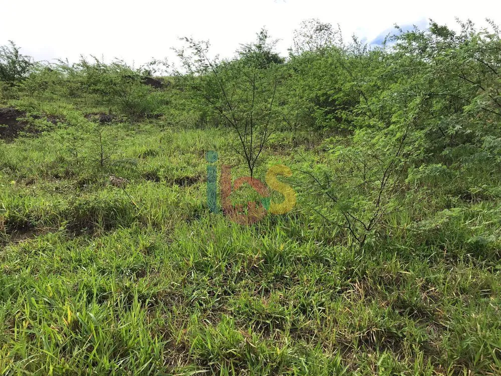 Fazenda - Foto 5