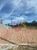 Terreno, 490 m² - Foto 3