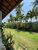 Casa, 6 quartos, 350 m² - Foto 6