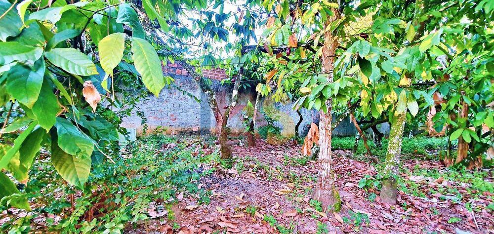 Terreno, 2400 m² - Foto 10