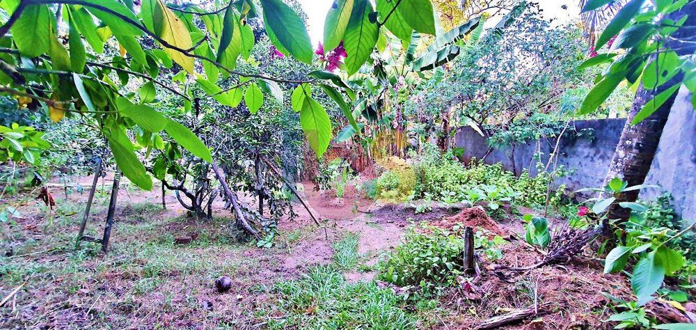 Terreno, 2400 m² - Foto 4