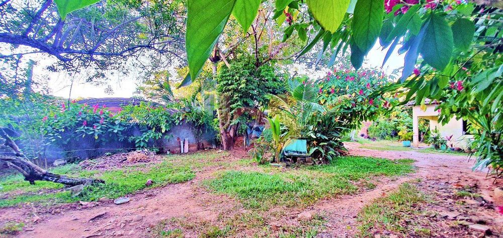 Terreno, 2400 m² - Foto 3