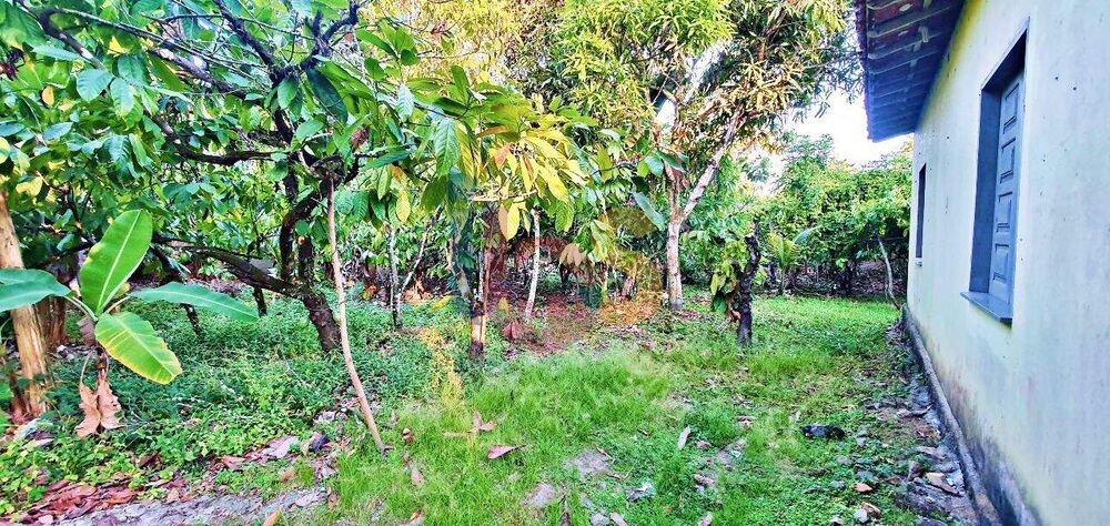 Terreno, 2400 m² - Foto 7