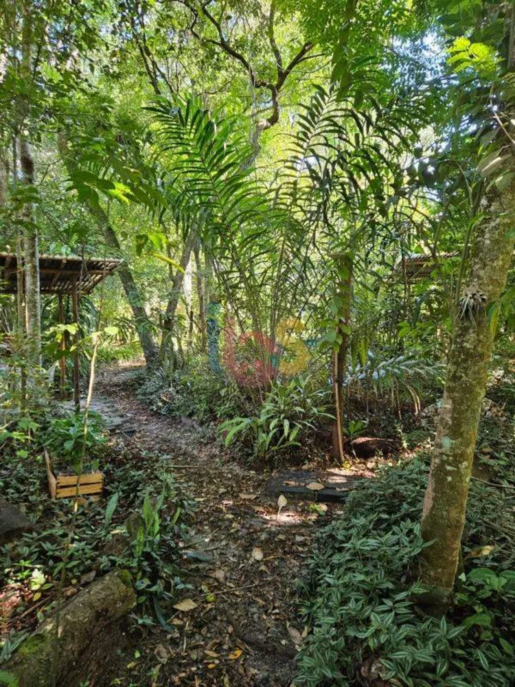 Terreno, 1277 m² - Foto 5