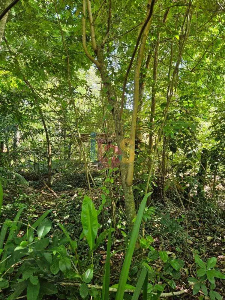 Terreno, 1277 m² - Foto 6