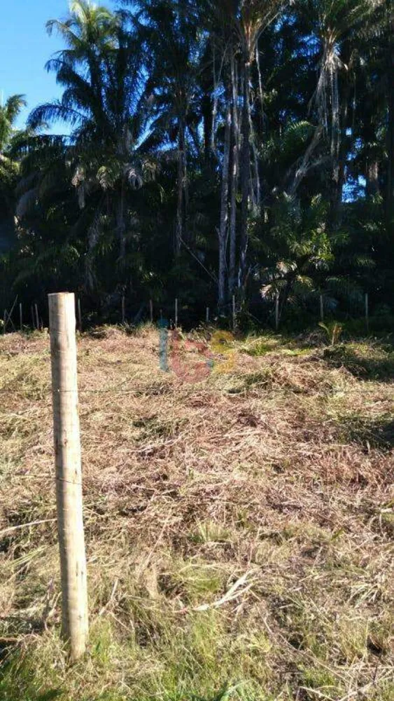 Terreno, 2000 m² - Foto 2