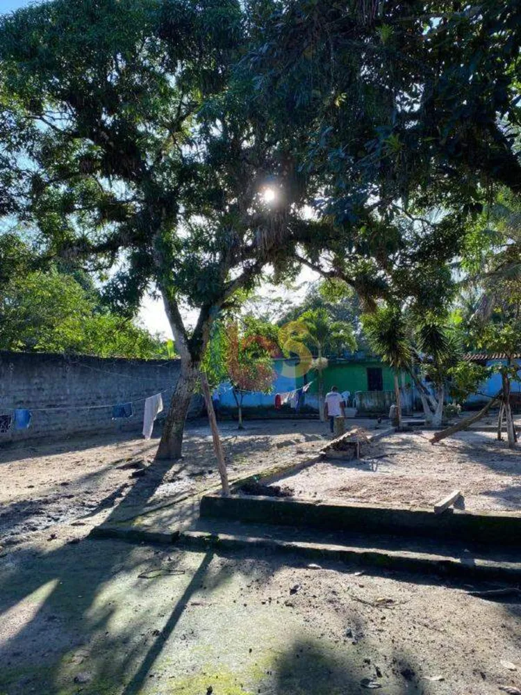 Sítio, 5 quartos, 200 m² - Foto 7