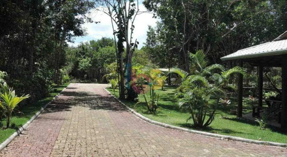 Casa, 2 quartos, 300 m² - Foto 6