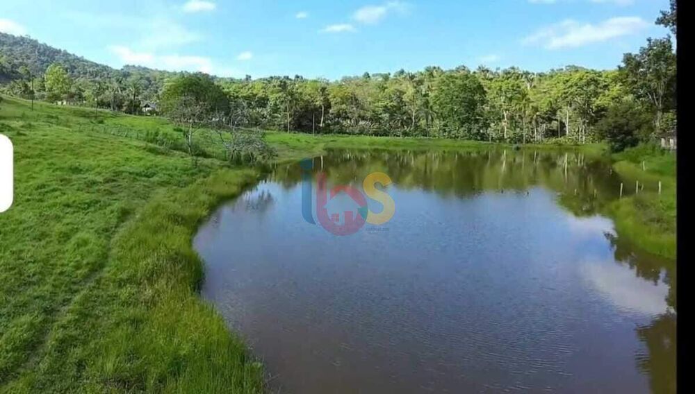 Fazenda à venda com 2 quartos, 1900000m² - Foto 4
