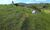 Fazenda-Sítio-Chácara, 190 hectares - Foto 2