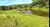 Fazenda-Sítio-Chácara, 190 hectares - Foto 10