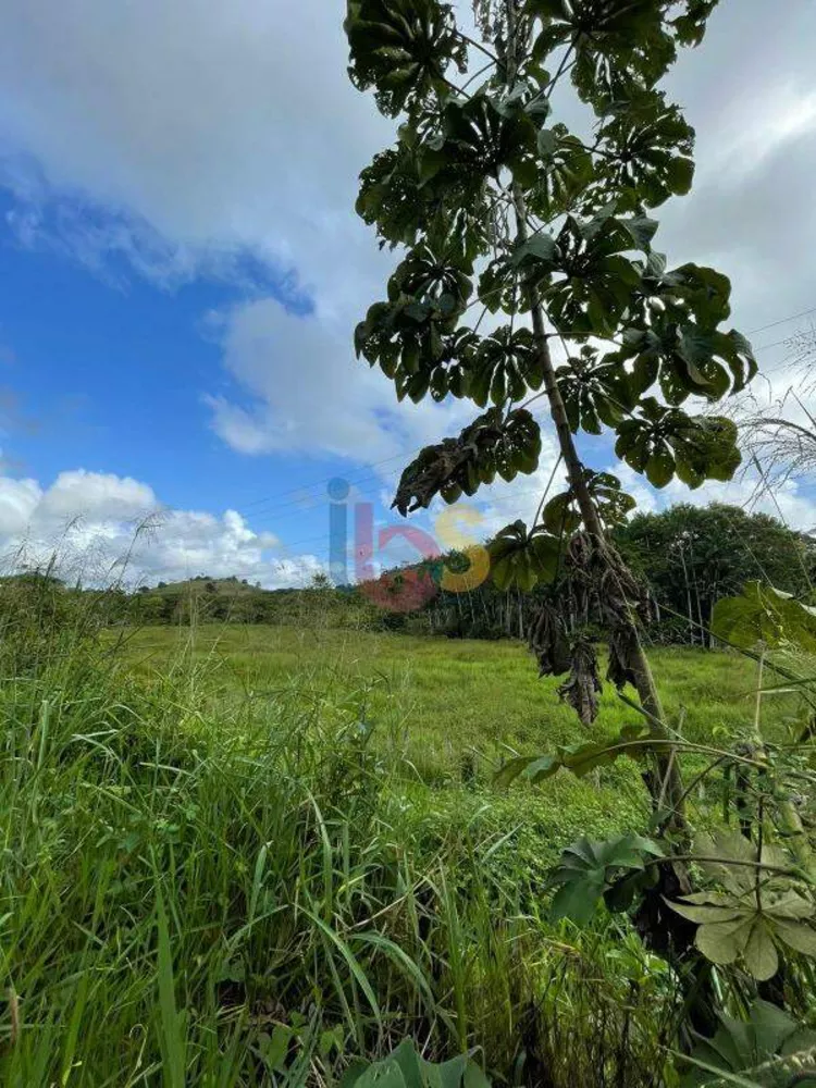 Fazenda à venda - Foto 3