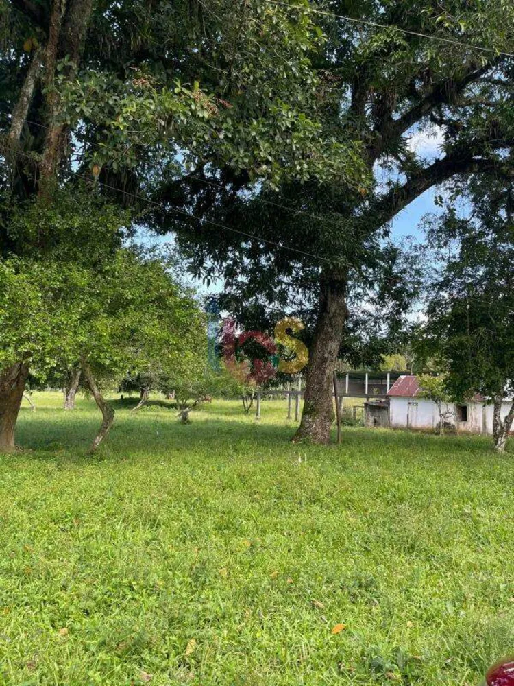 Fazenda - Foto 7
