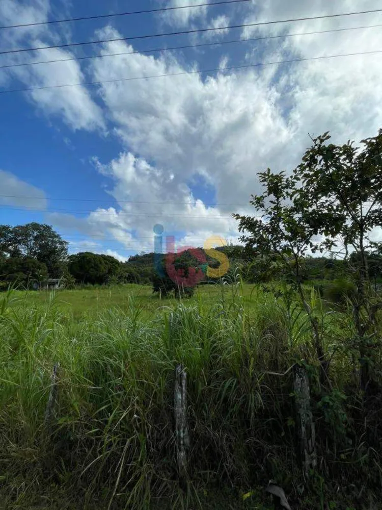 Fazenda - Foto 5