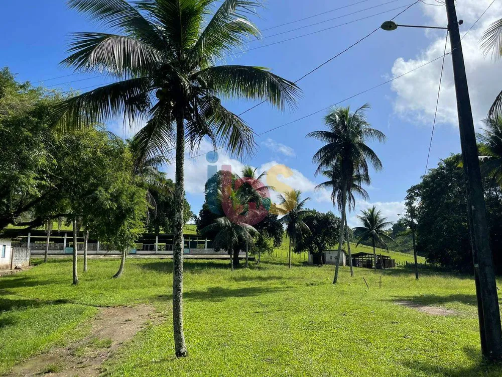 Fazenda - Foto 6