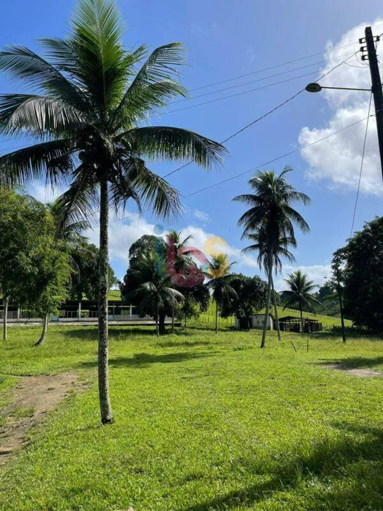 Fazenda - Foto 8