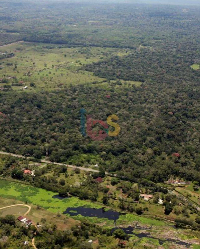 Terreno à venda, 10000m² - Foto 1