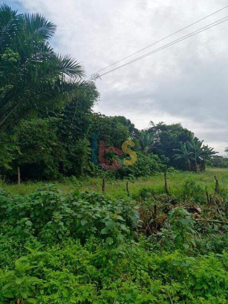 Terreno, 2300 m² - Foto 4