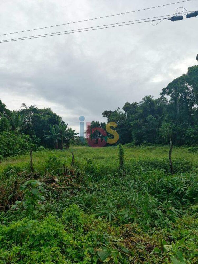 Terreno, 2300 m² - Foto 1