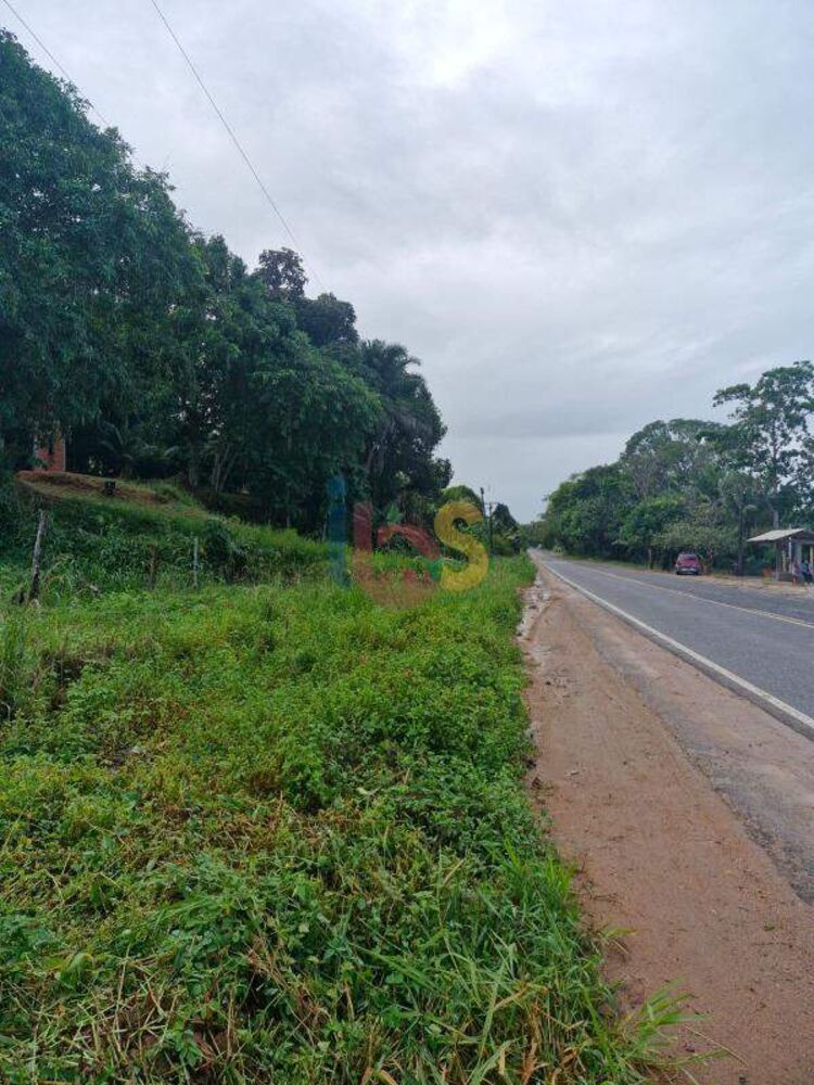 Terreno, 2300 m² - Foto 3