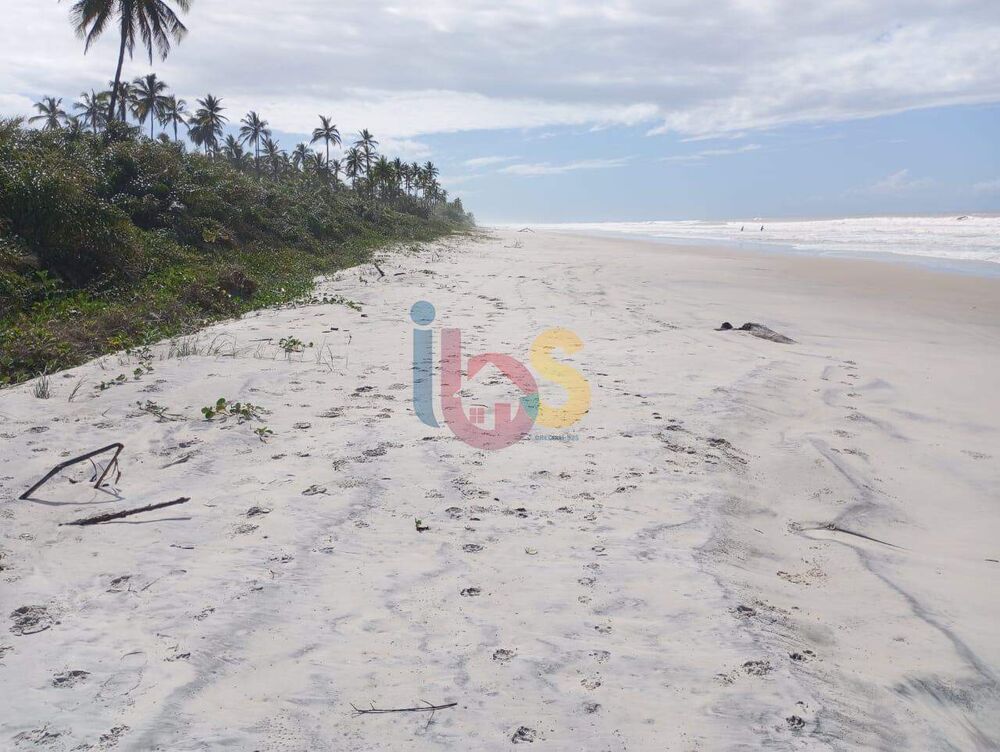 Terreno, 1 hectares - Foto 6