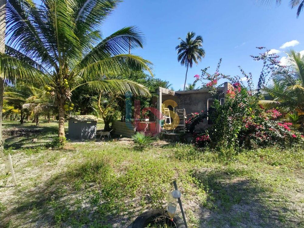 Terreno, 1 hectares - Foto 10