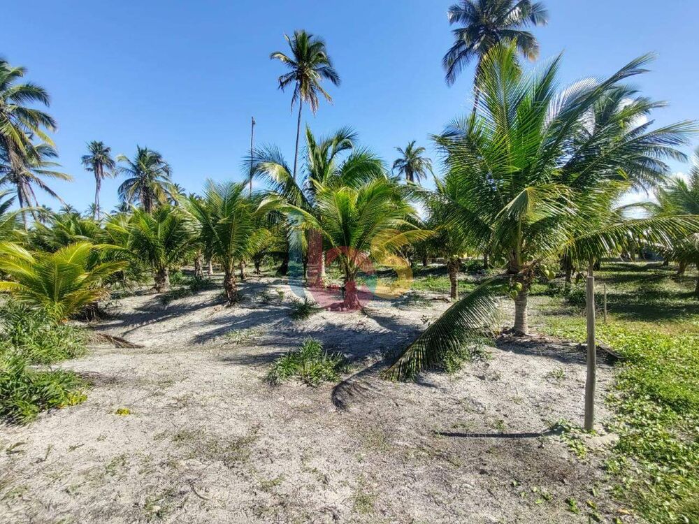 Terreno, 1 hectares - Foto 3