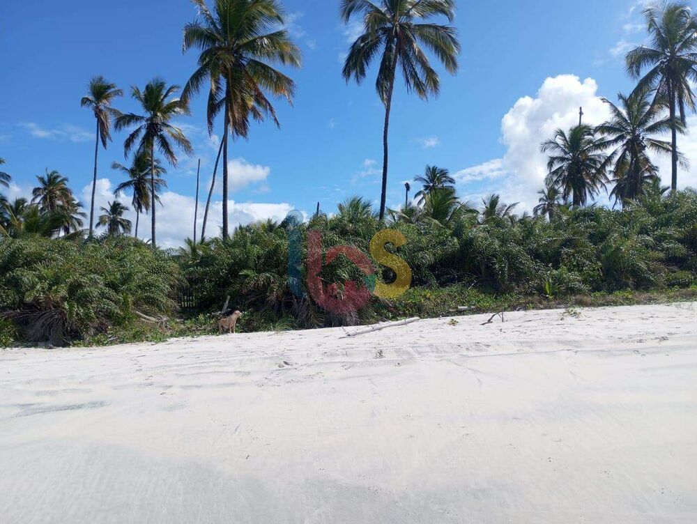 Terreno, 1 hectares - Foto 8