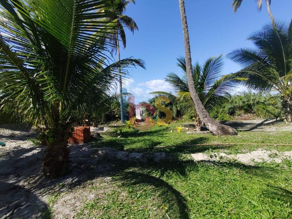 Terreno, 1 hectares - Foto 7