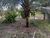 Terreno, 1 hectares - Foto 4